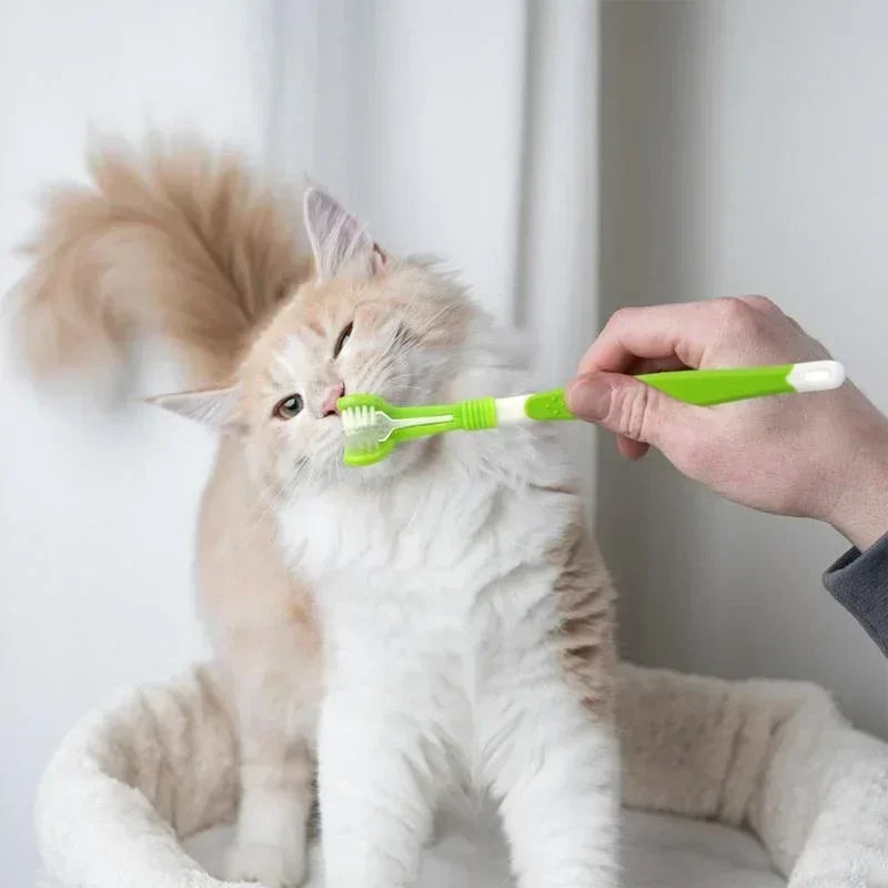 3-Head Pet Toothbrush Dogs Oral Cleaning Soft Bristle Toothbrush for Small Breed Easy Grip Handle Gentle on Gums Reduce Plaque